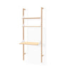 Branch Single Unit ( 2 Shelves & 1 Desk)