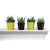 Picture Rails 36"