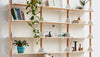 Branch Shelves Add-ons