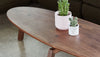 Solana Oval Coffee Table Walnut